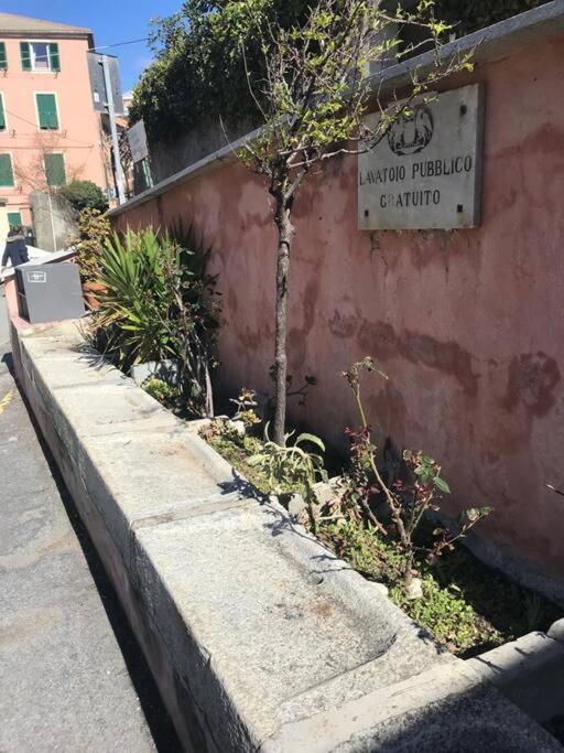Pisi Home, 2 Min Dalla Spiaggia E Dall' Ospedale Gaslini 热那亚 外观 照片